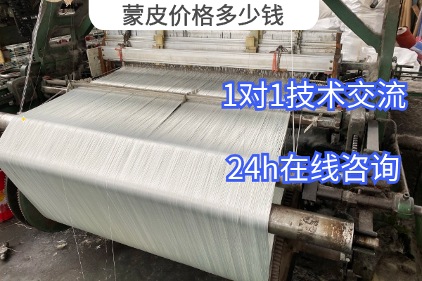 蒙皮价格多少钱 蒙皮价格多少钱